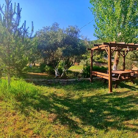 Vita Camping Otel Geyikbayiri Экстерьер фото
